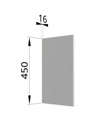Панель торцевая (для шкафа горизонтального высокого) ВПГ Ройс (Графит софт) в Каменке - kamenka.mebel54.com | фото